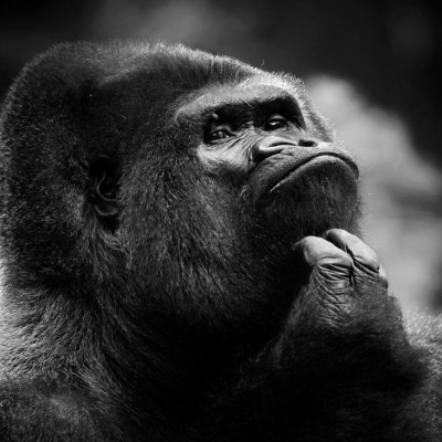 1920 x 1080 HD Wallpapers 2000